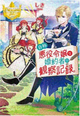 我的姐姐夏日回忆